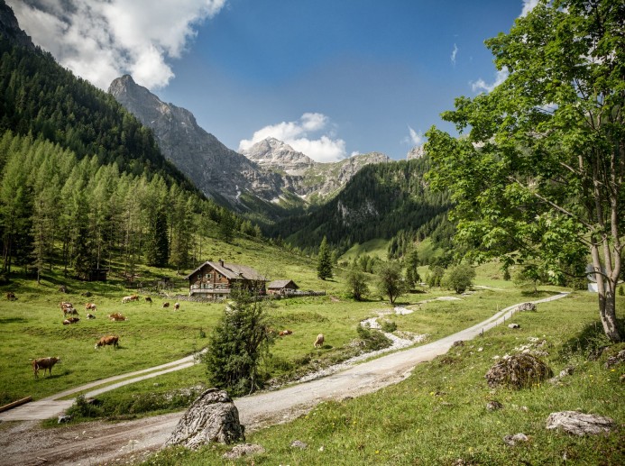 Wanderung Marbachtal © Flachau Tourismus 