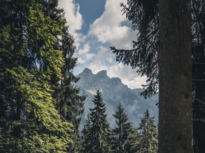 Ausblick auf die Bergwelt © Quaritsch photography on unsplash