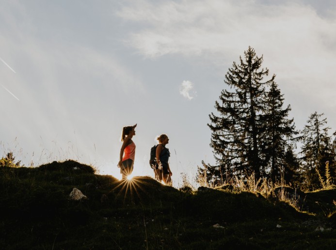 Hochkönig Almenweg © SalzburgerLand Tourismus - Jonathan Forsthuber