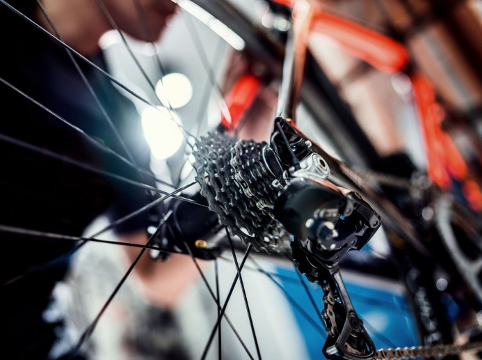 Bike Service © shutterstock.com