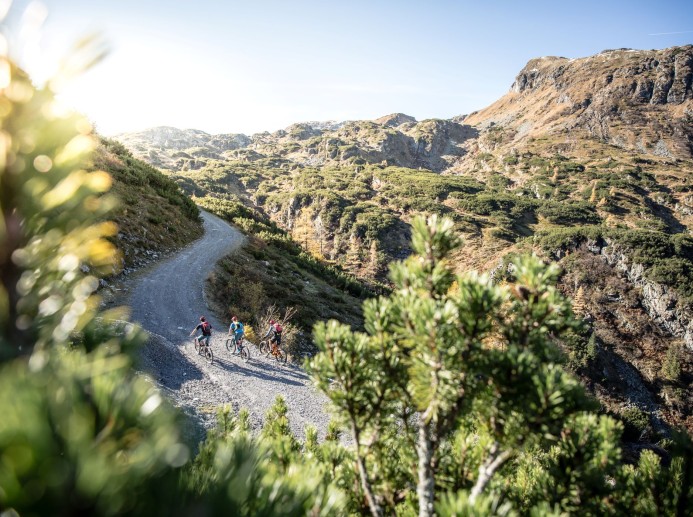 Anspruchsvolle Bike-Strecke © Flachau Tourismus - Ulrich Grill
