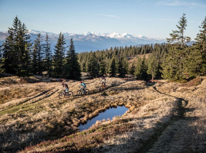 Alpenpanorama beim Biken genießen © Stoneman Taurista - Dennis Stratmann