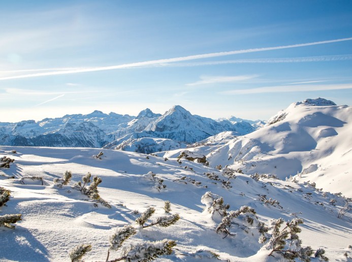 Tief verschneite Berge © Flachau Tourismus / Christian Fischbacher