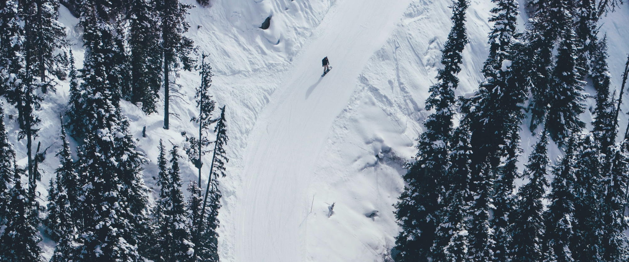 Skipiste im Wald - Geheimtipp! © Nic Y-C on Unsplash