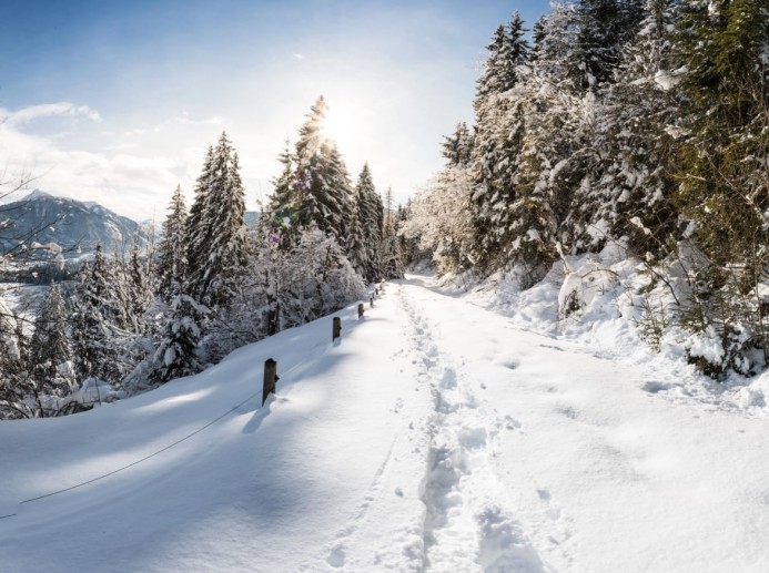 Winterwanderweg in Salzburg © Flachau Tourismus / Verena Buchsteiner