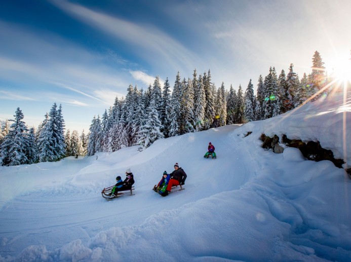 Rodeln © Salzburger Sportwelt - Tom-Lamm-Ikarus 