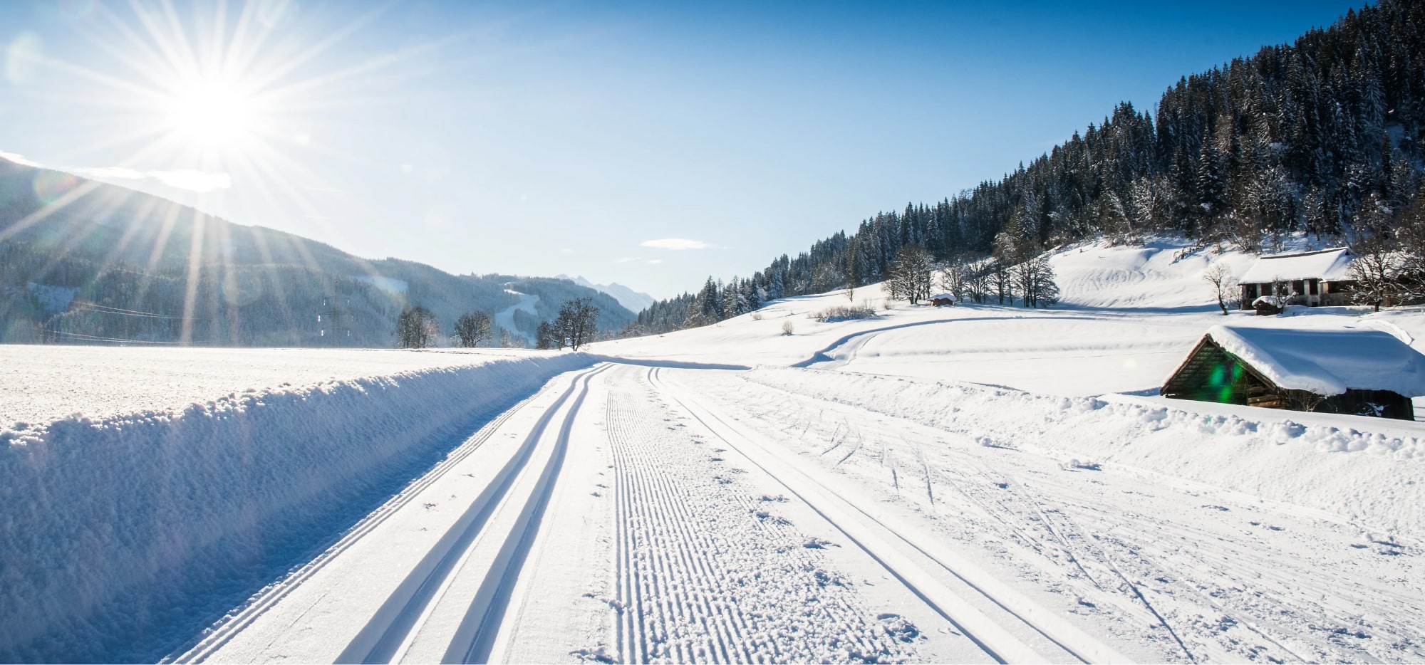 Langlaufloipe im Winter in Flachau bei strahlendem Sonnenschein © Flachau Tourismus / Verena Buchsteiner