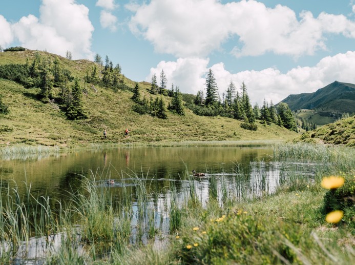 Almweg Großarl © SalzburgerLand Tourismus - Chris Perkles