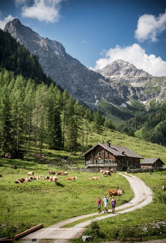 Wanderung Marbachtal © Flachau Tourismus angeben