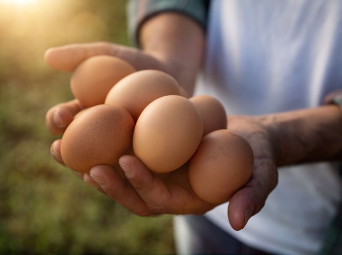 Frische Eier © shutterstock.com